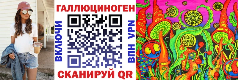 Купить где  Ужур  Галлюциногенные грибы Psilocybe 